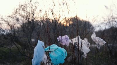 Plastic bag on trees