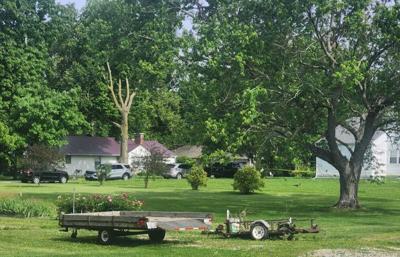 Newman shooting, 5/20/24