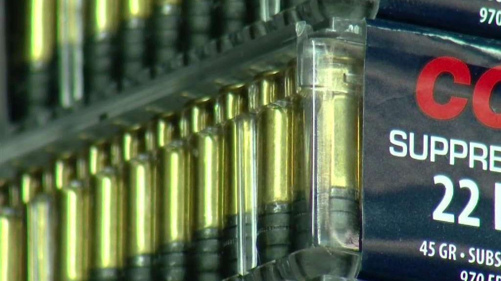 Bill would add surcharge tax to ammunition sales | Top Stories | wandtv.com