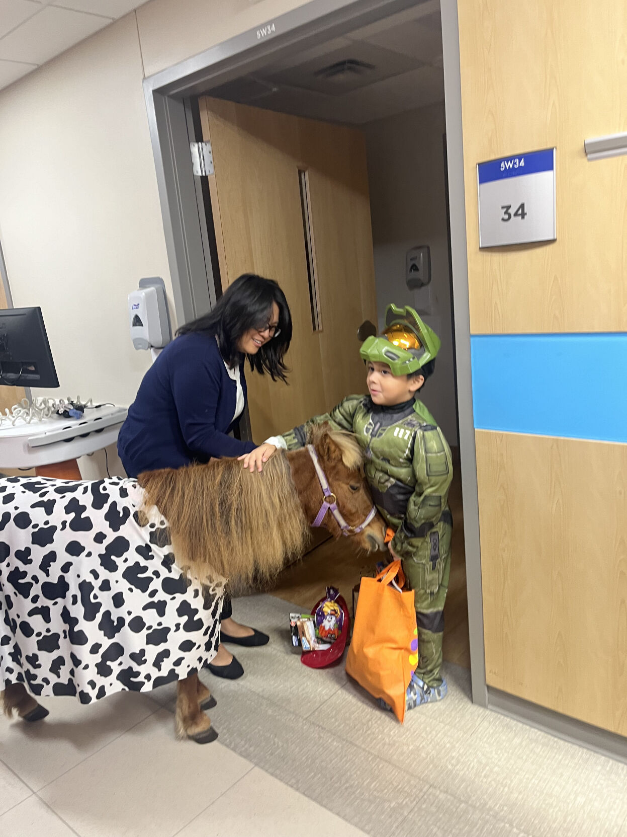 Therapy Horse1.jpg