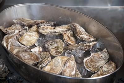 Fresh oysters