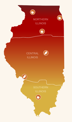 Fall Foliage Tracker