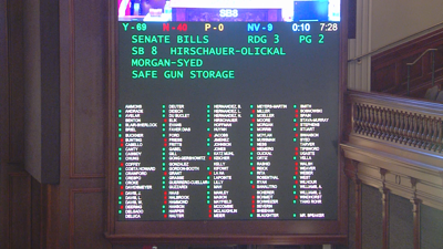 Safe Gun Storage