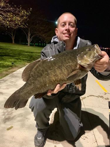 Record Bass-1.jpg