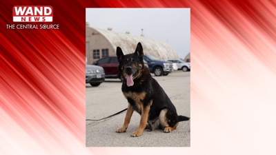 Chewy U of I Police K9