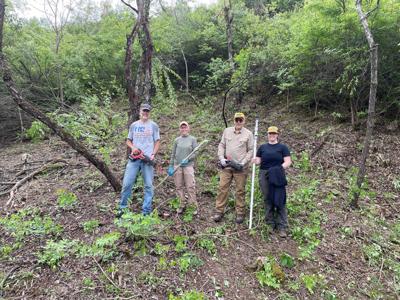 Volunteer workday held to remove invasive honeysuckle bush in Macon County