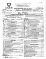 Burger King report.pdf