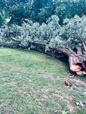 Severe Weather- - Taylorville