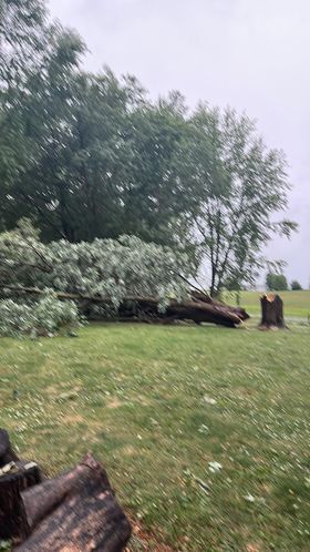 Severe Weather-  - Taylorville