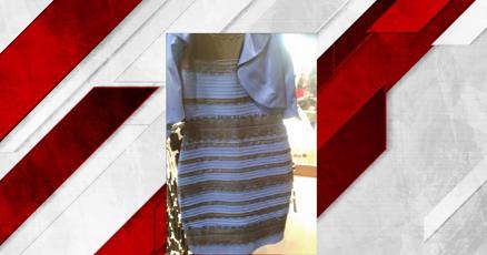 Blue and black? White and gold? It's been 10 years since this viral dress debate | News | wandtv.com Blue and black? White and gold? It's been 10 years since this viral dress debate | News | wandtv.com