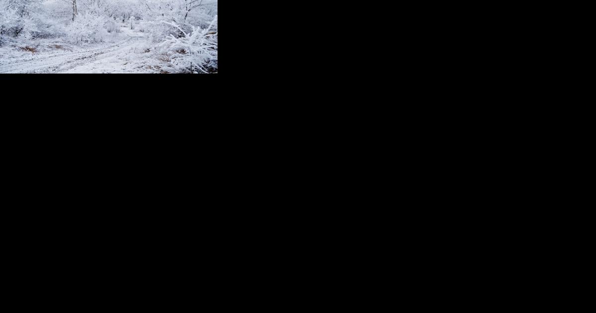 Wintry and wet rest of the week - Vimarsana News