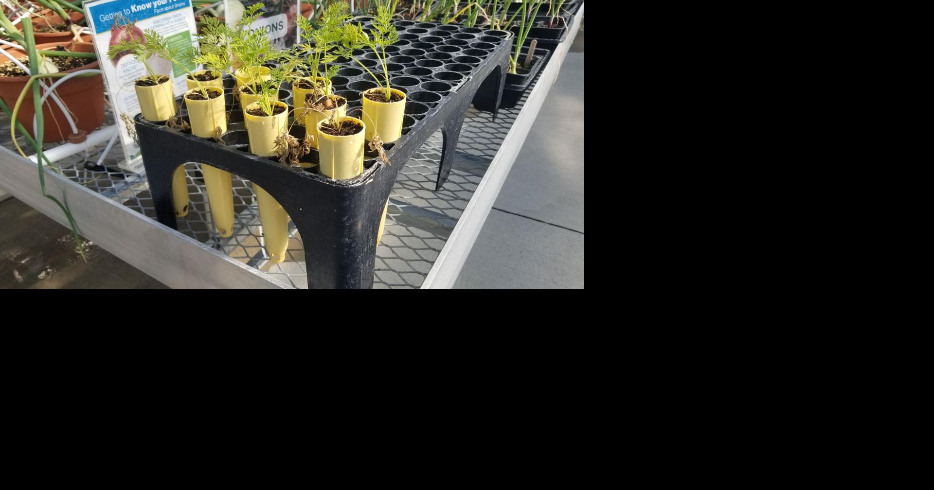 Promoting Wisconsin Agriculture - Garden Goodies 2026