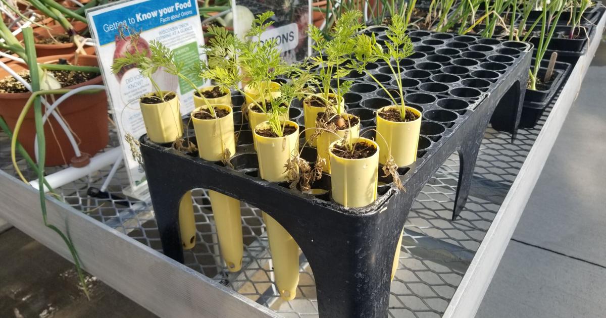 Promoting Wisconsin Agriculture - Garden Goodies 2026