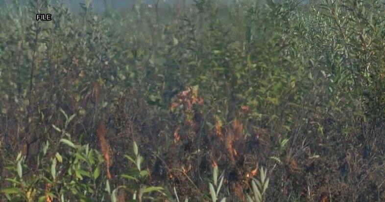 DNR warns of elevated fire risk