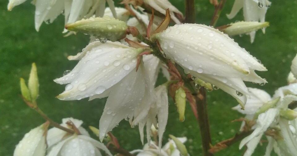 Rain today and a nice weekend ahead
