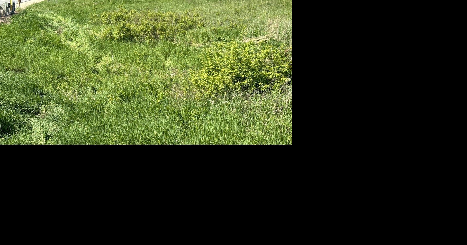 SHERIFF Ettrick area homicide investigation lead them to 'Person of