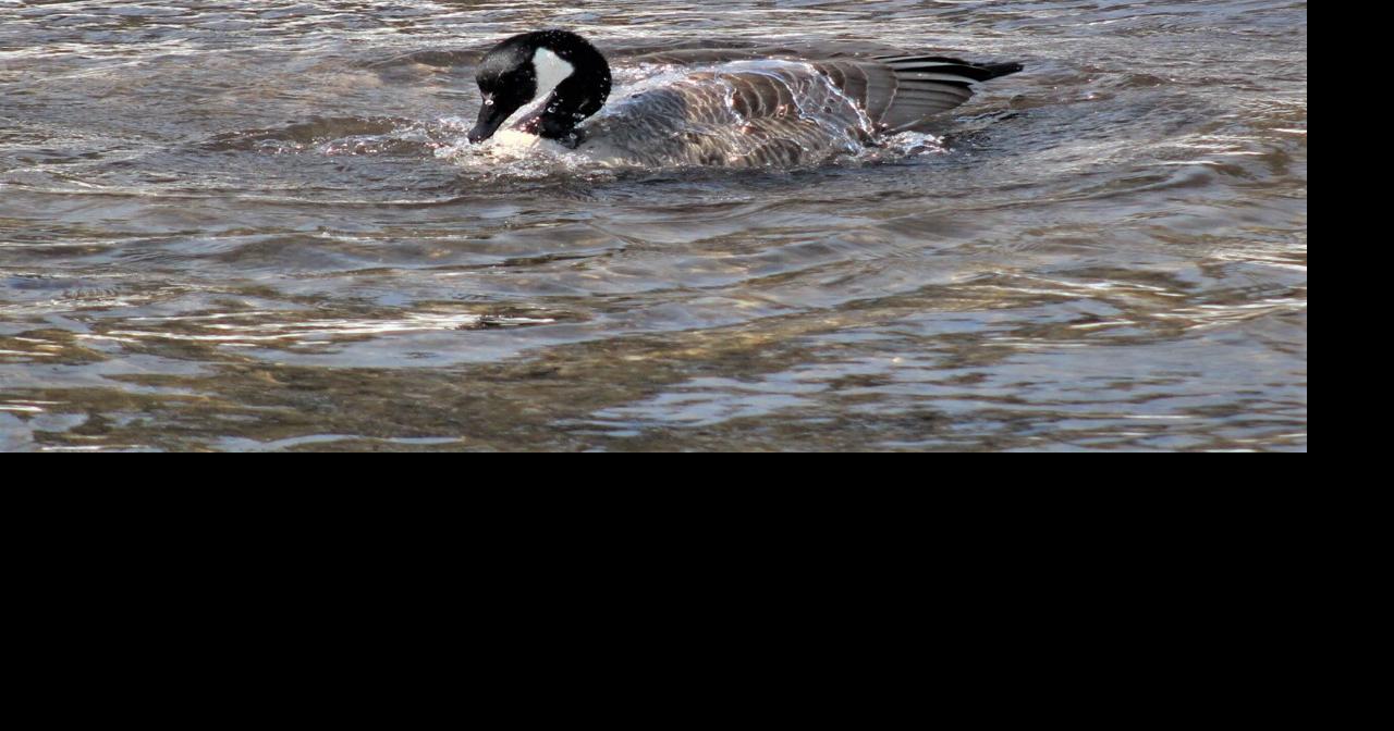 Messy weather at times through the end of the work week