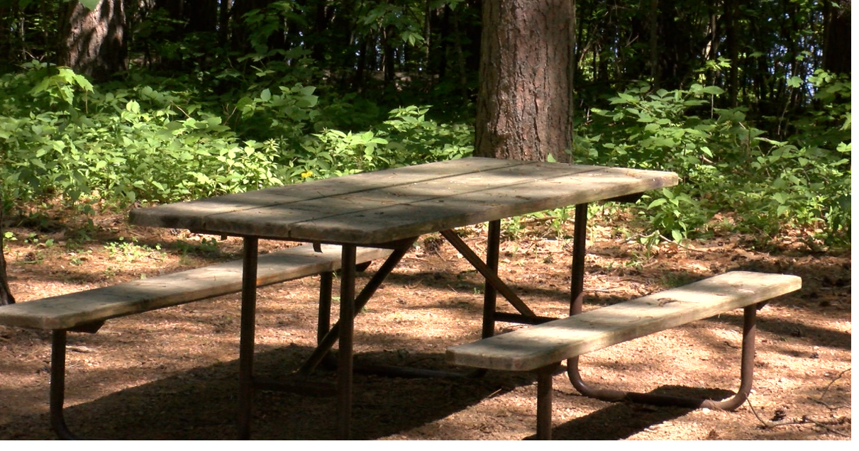 How to stay safe while camping this summer Top Stories