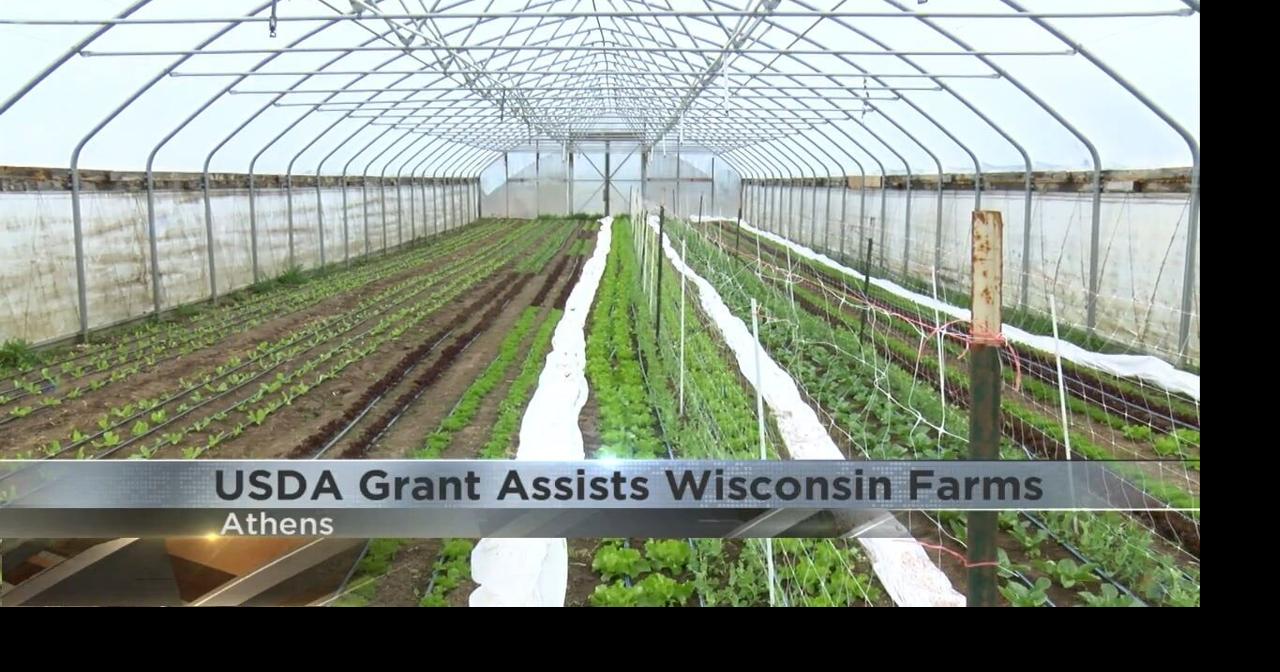 Red Door Family Farm, Cattail Organics to help supply Wisconsin schools with fresh vegetables