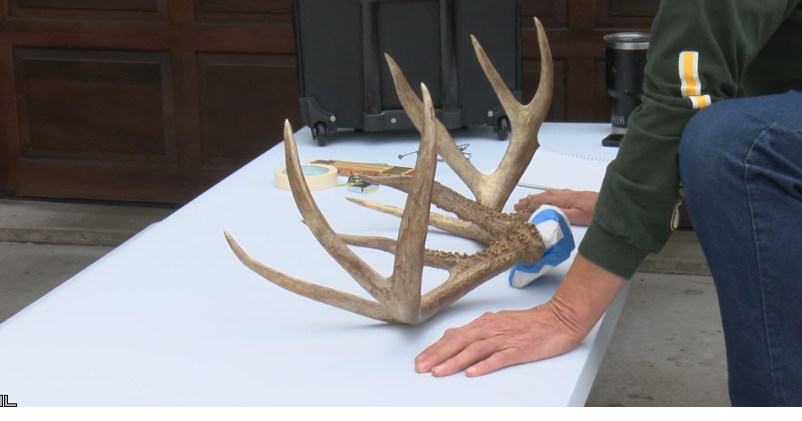 Wisconsin Rapids man shoots massive buck in Grant County