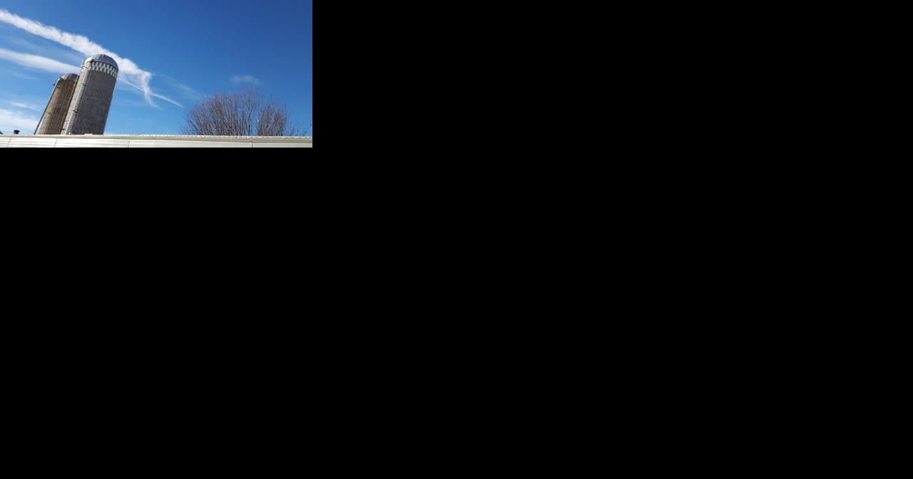 Sunny Friday before a cloudy weekend - Vimarsana News