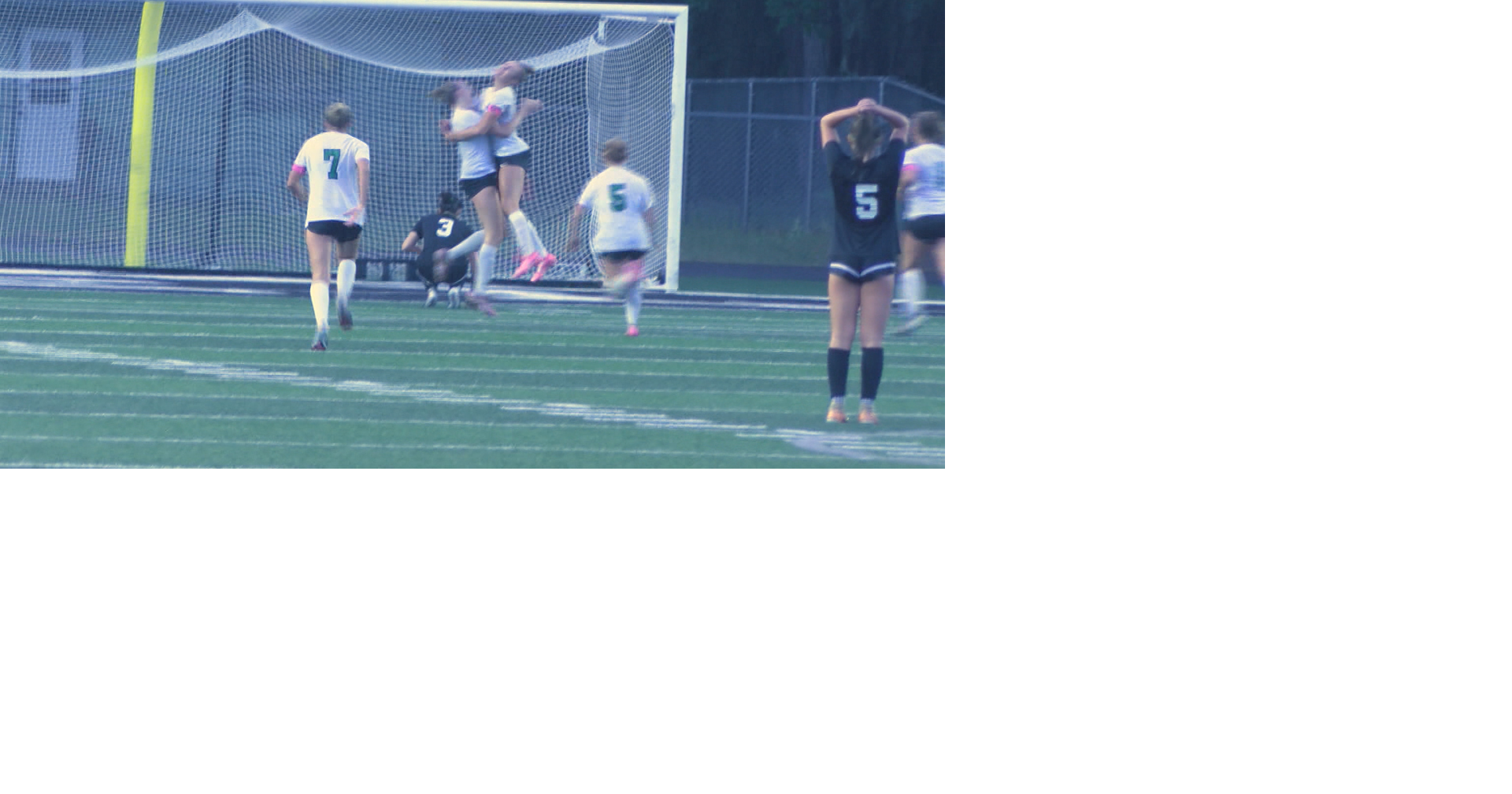No. 2 Rhinelander Upsets Undefeated Lakeland, Advances to Sectional Final