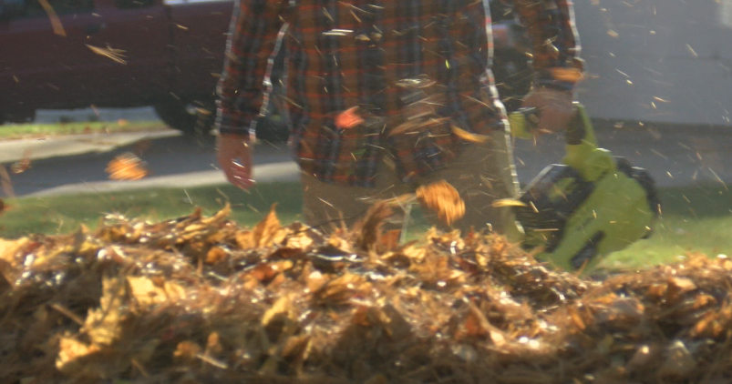 United Way looking for volunteers to rake leaves for Make a Difference Day