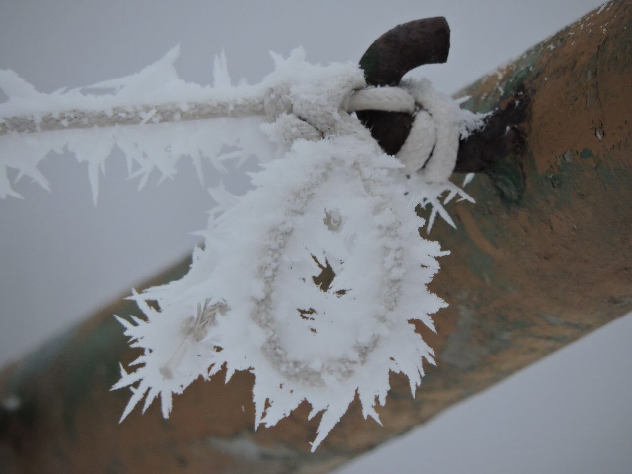 Winter Wonderland: Hoar Frost vs Rime Ice, Weather Blog