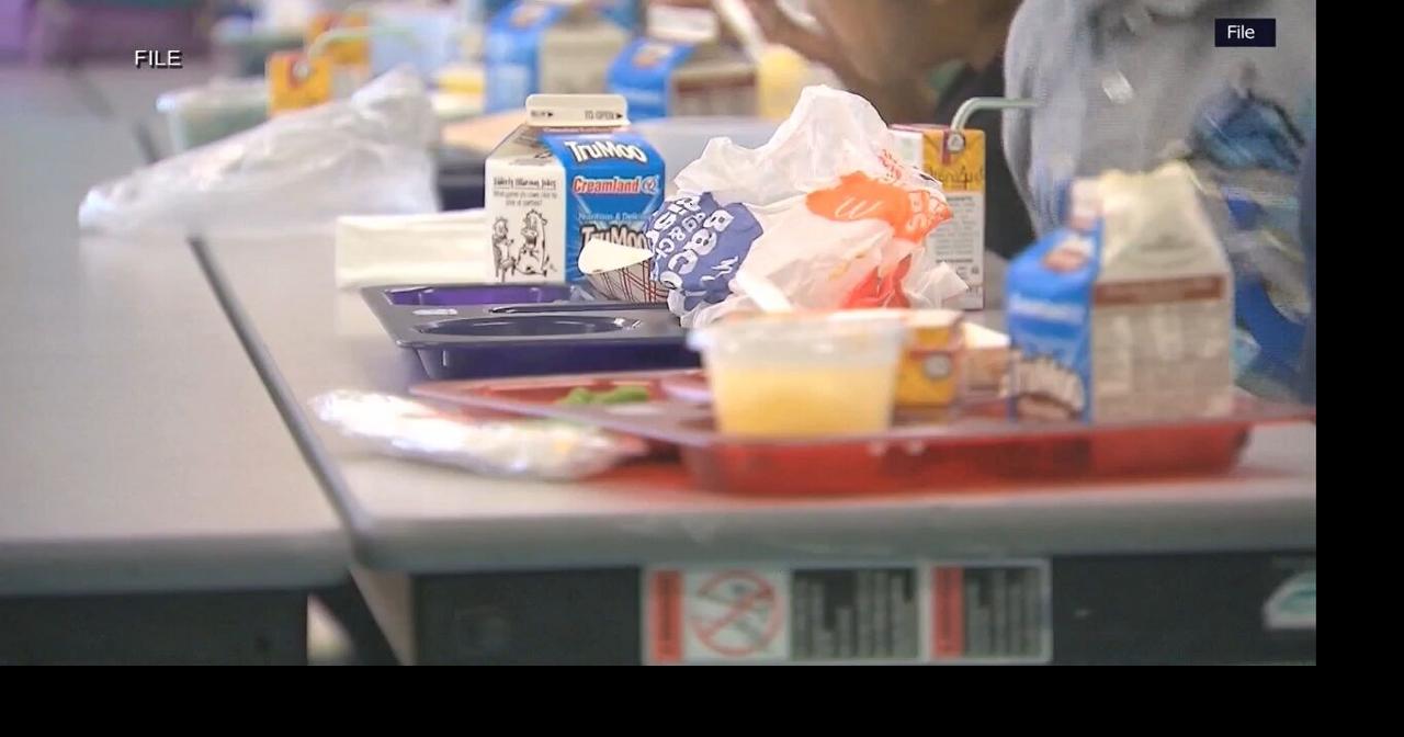 Wisconsin Assembly backs bill to ban harmful chemicals in school meals