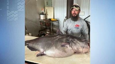 Catch the Biggest Catfish of Your Life on the Tennessee Rive, catfish  fishing 