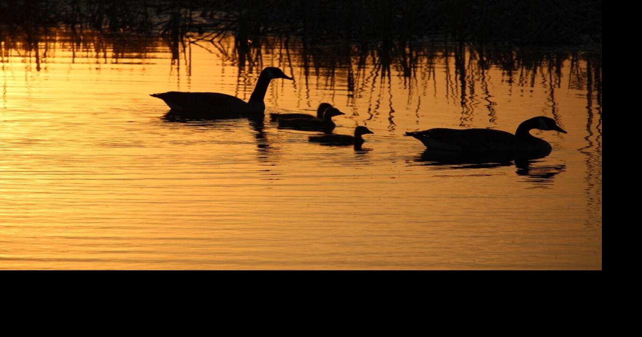 Fishing forecast for may 20th and 21st 2023 sports waow