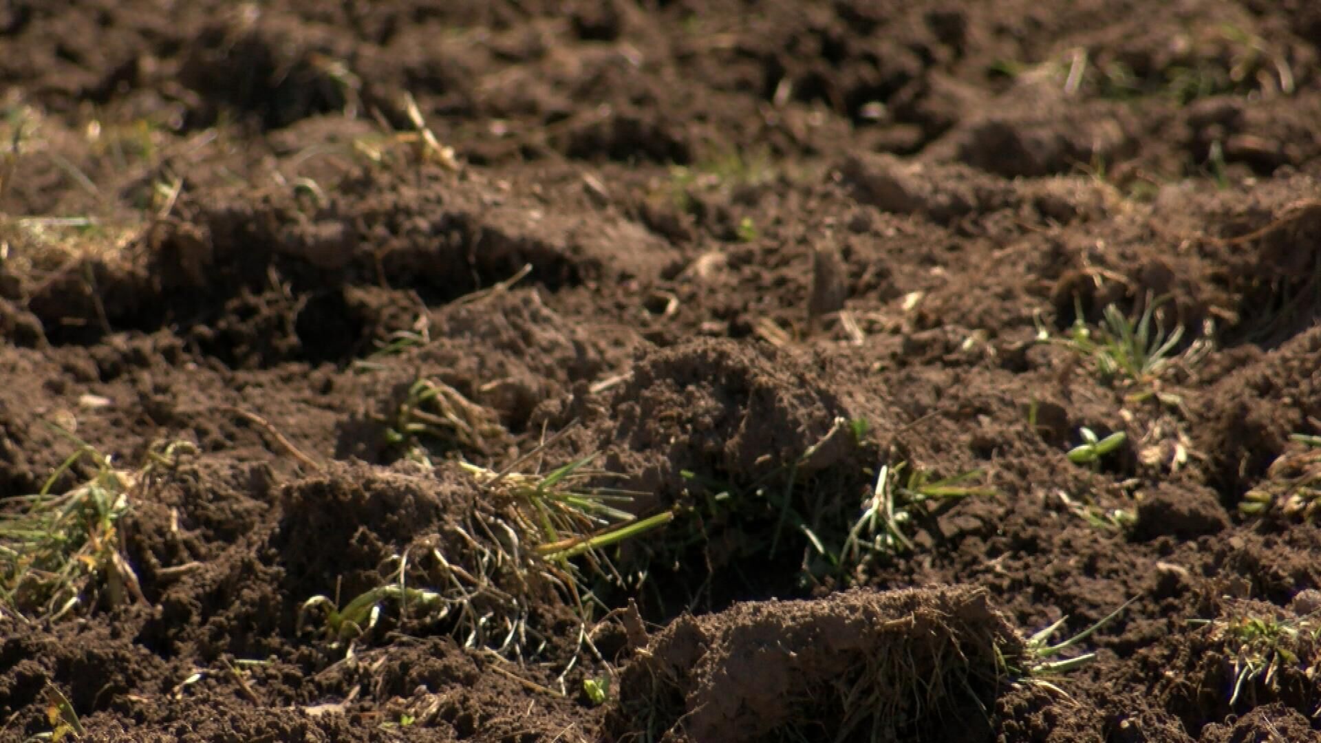 Area Farmers Optimistic About Early Planting Season | News | Waow.com