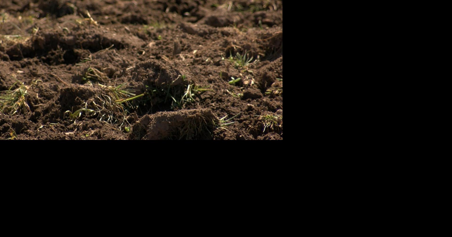 Area farmers optimistic about early planting season | News | waow.com