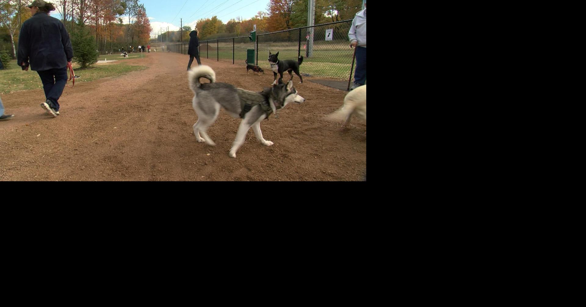 Rib Mountain dog park expands and dozens of dogs check it out News