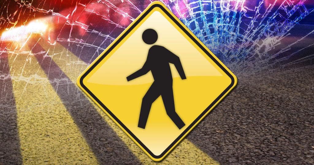 8-year old child dies after being hit by vehicle in Taylor County