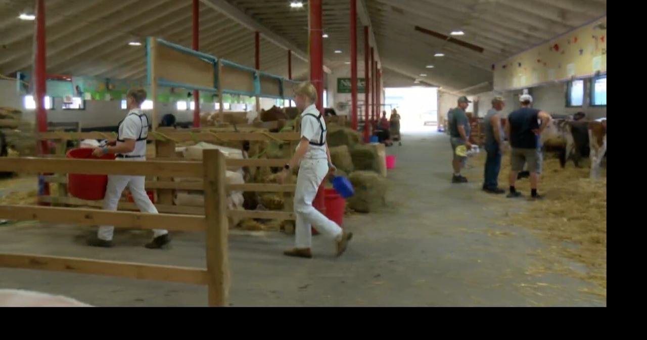 Cow Showing highlights day three of Wisconsin Valley Fair