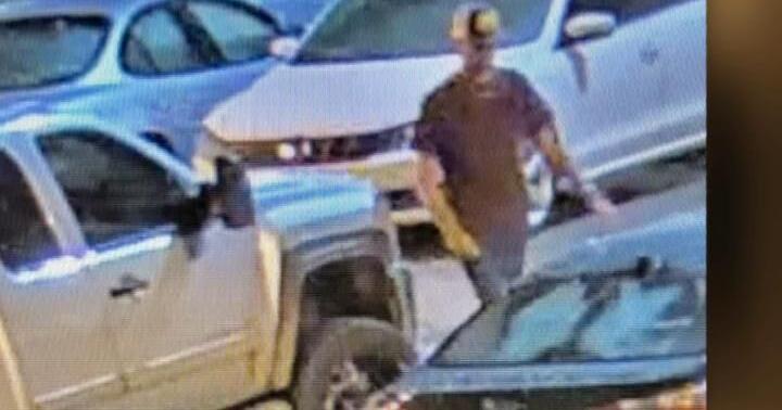 Portage County Crime Stoppers: Hit and run in Stevens Point Library ...
