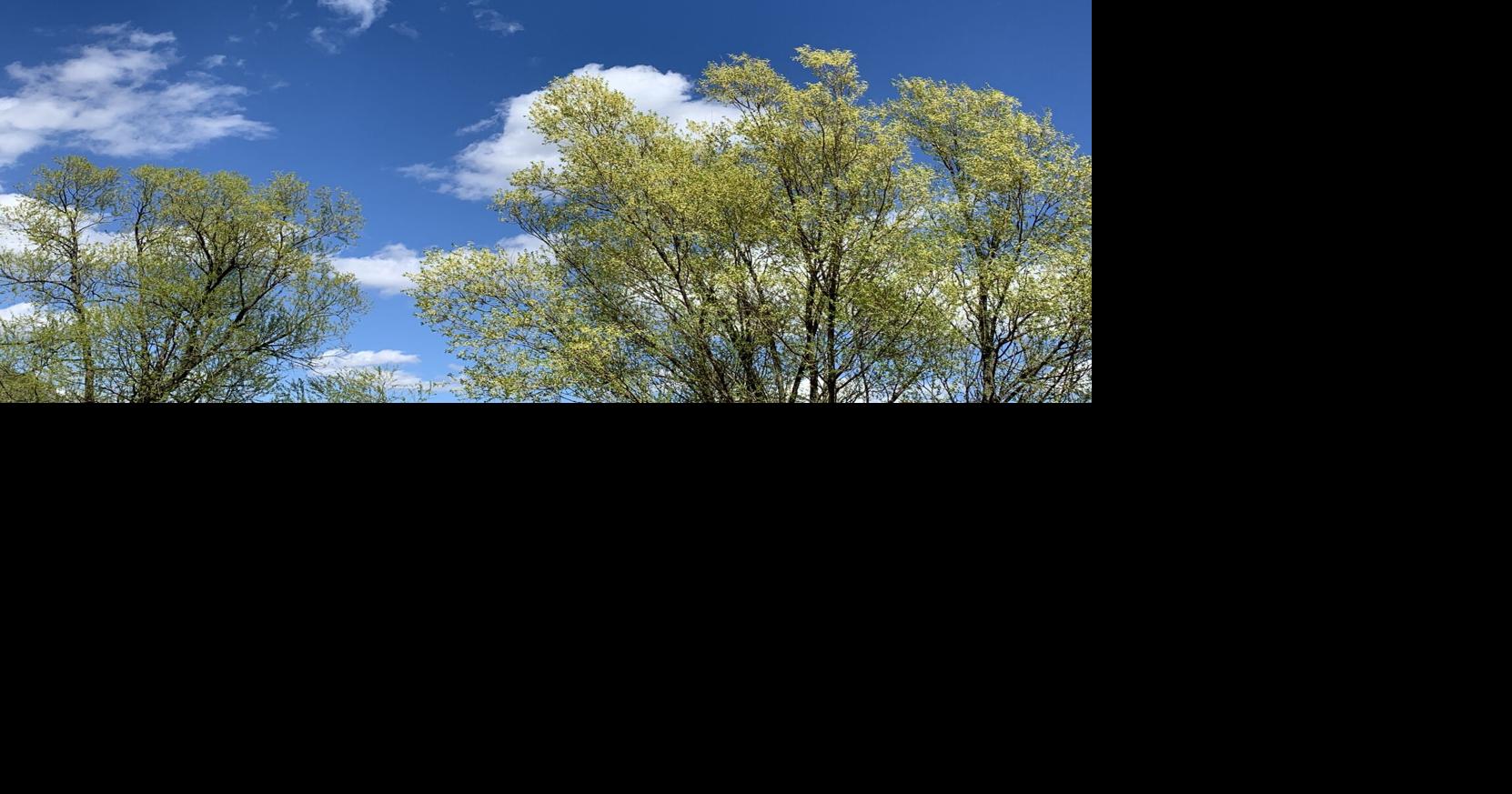 Cool weather continues for a while