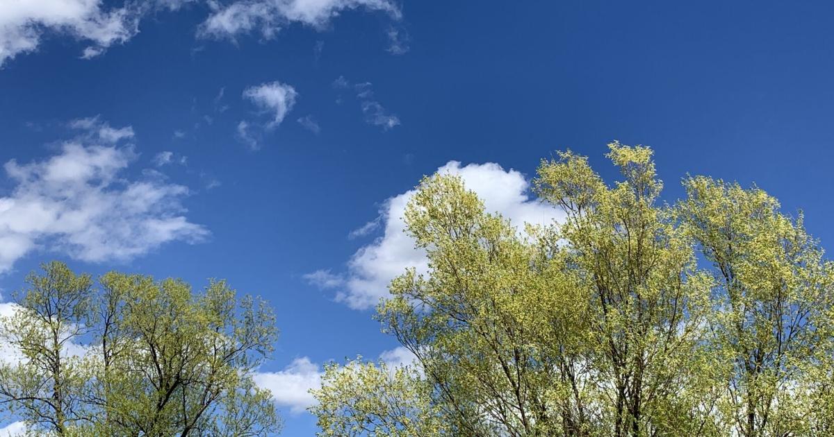 Cool weather continues for a while