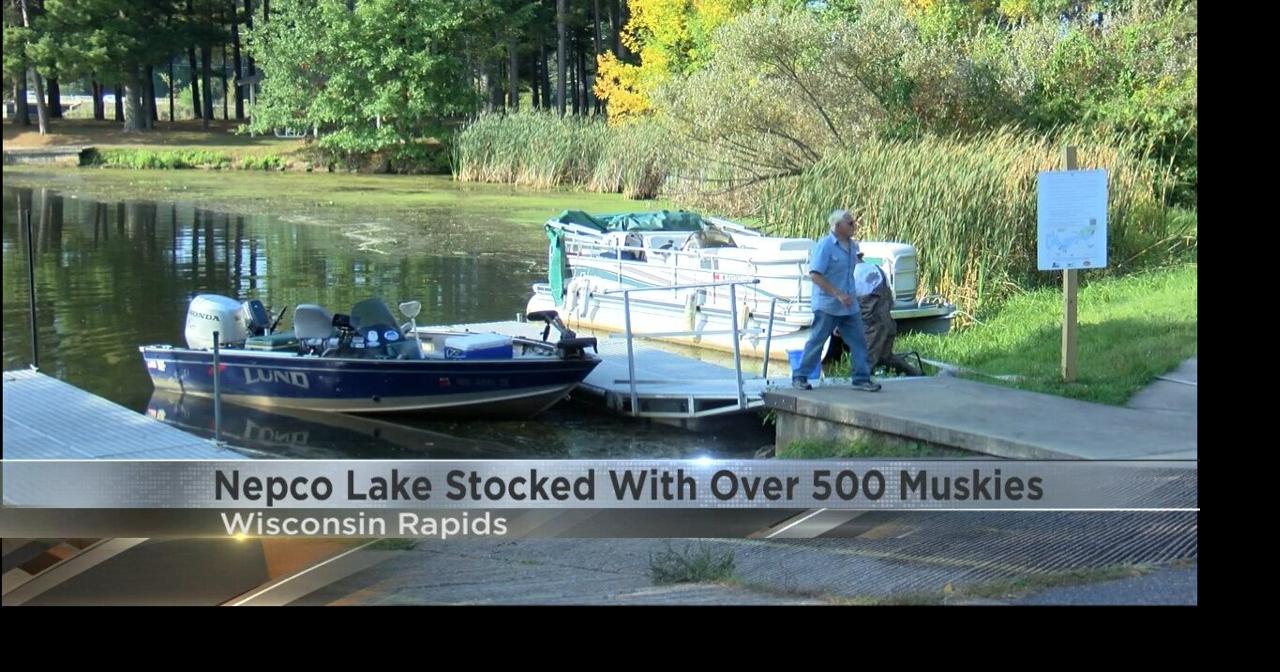 Local Musky Club stocks lake with over 500 muskies | News | waow.com