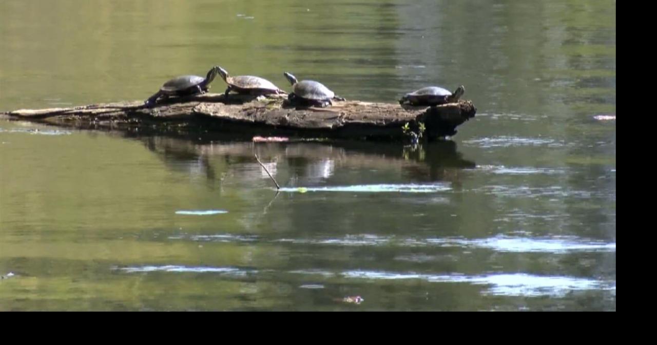 DC Everest special needs students enjoy 27th annual fishing event at Bluegill Bay Park