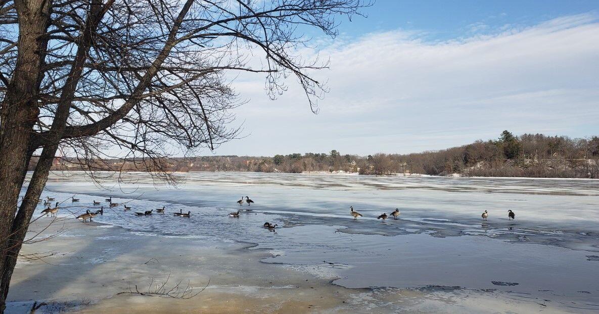 A more wintry weather pattern developing