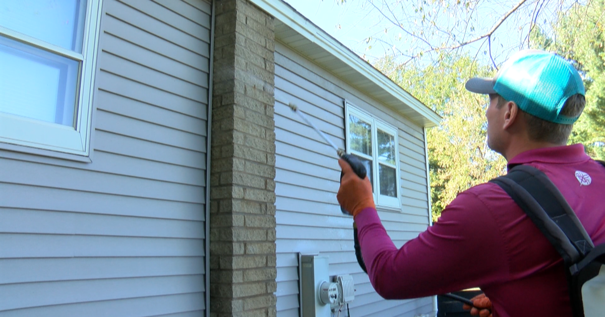 Local pest professional offers tips for protection against fall ...