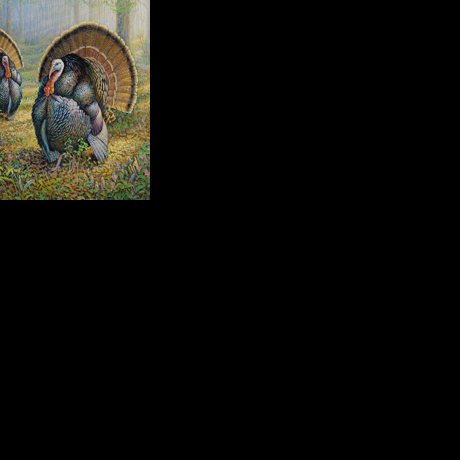 DNR accepting submissions for Wisconsin's 2027 wildlife stamp contest