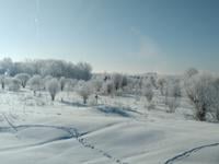 Cold Today, Milder Trend Ahead