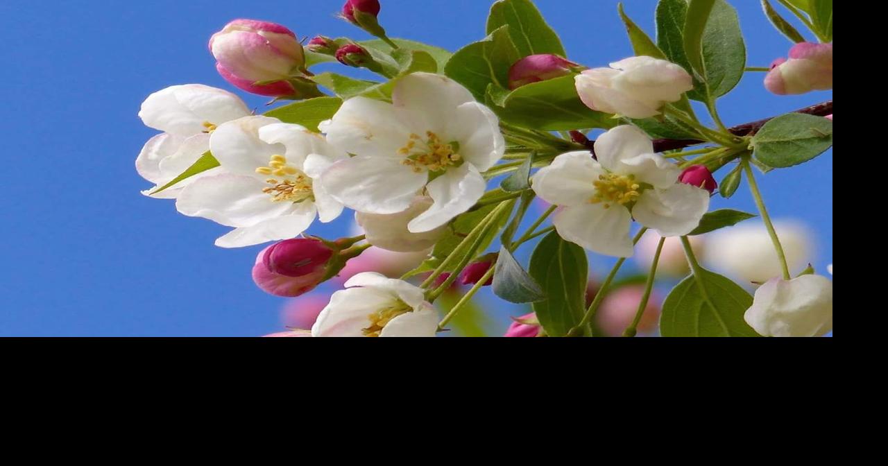 When was our first 70 degree day in recent years? | Weather Blog | waow.com
