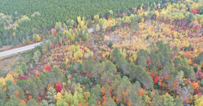 Upper Wisconsin River Legacy Forest expands in Vilas County