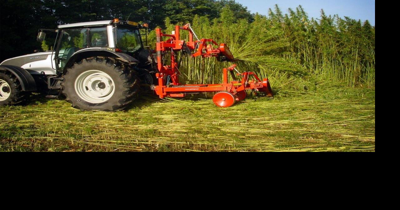 Gov. Evers urges Congress to revise hemp law threatening Wisconsin jobs