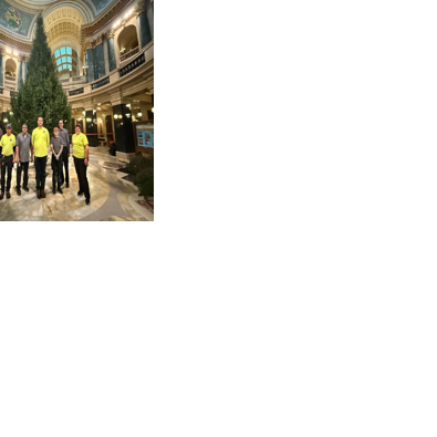 Wisconsin-grown Christmas trees now installed in state holiday displays