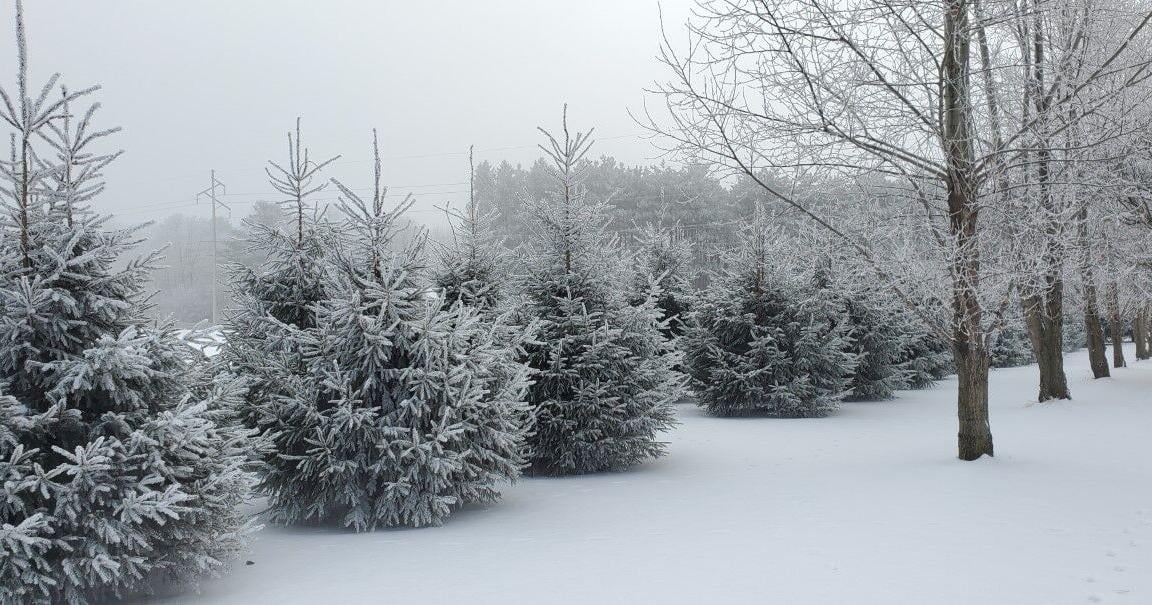 Mostly mild weather ahead